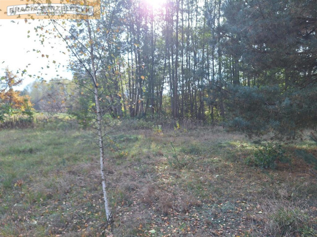 Działka Sprzedaż Stare Polesie 5